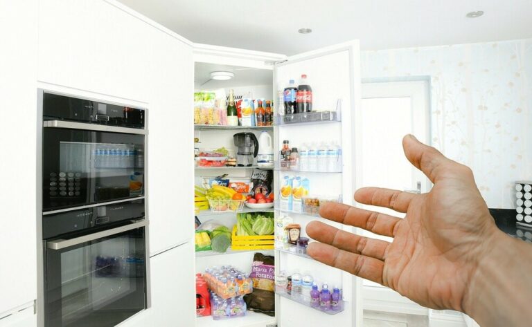 The Best Freezerless Refrigerators | Reviews + Buyer’s Guide (2022)